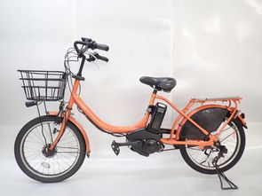 日本電動(dòng)自行車代購(gòu)與購(gòu)買指南 從新品到二手及維修須知