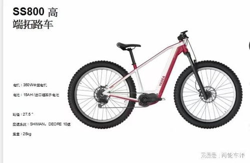 電助力自行車電機(jī)品牌混戰(zhàn) 機(jī)遇與挑戰(zhàn)并存的修理新生態(tài)